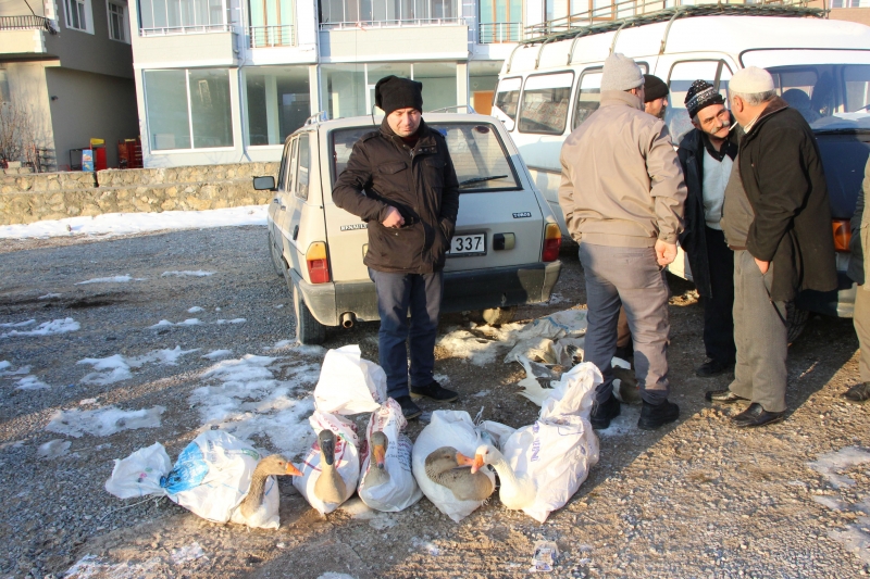 İlçemizde Tirit, Kaz Fiyatlarını Arttırdı
