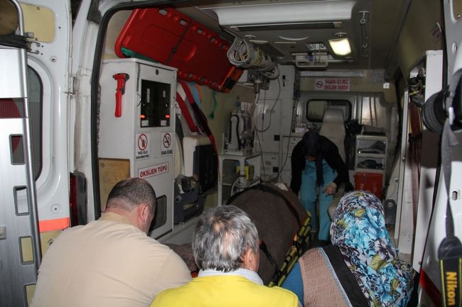 Kavak Ağacı Üzerlerine Düştü İki Yaralı