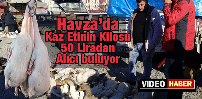 Kaz Etinin Kilosu 50 Liradan Alıcı buluyor