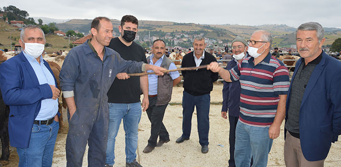 Kurban Bayramına Doğru Canlı Hayvan Pazarı