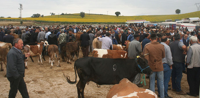 KURBAN HAREKETLİLİĞİ BAŞLADI