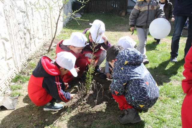 Minik Eller Orman Haftasında Fidan Dikti