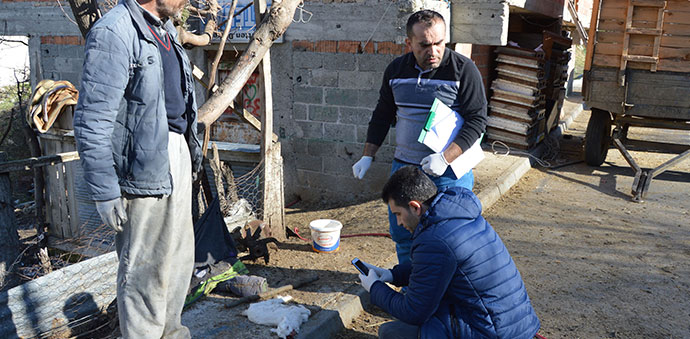 Oğlak Ağzı Yenmiş Halde Bulundu