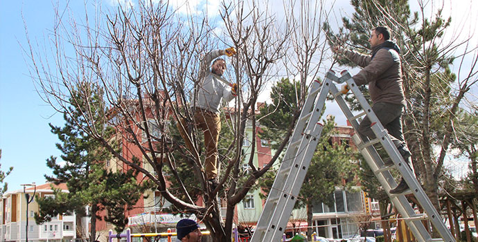 Park ve Bahçelerin Bakımları Yapılıyor