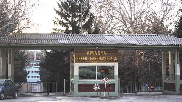 Şeker Pancarı Alım Kampanyası Sonlandı