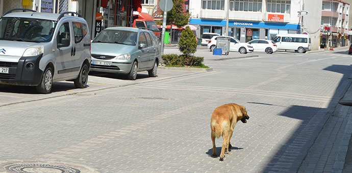 Sokağa Çıkma Yasağının Ardından Cadde Ve Sokaklar Boş Kaldı