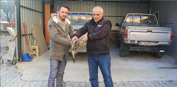 Taksiciden Yaralı Şahine Şevkat Eli