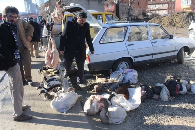 Tirit, Kaz Fiyatlarını Etkiledi