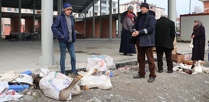 Tirit Sezonuyla Birlikte Havza'da Kaz Satışları Başladı