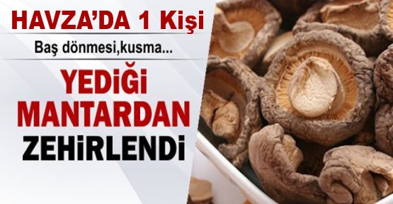 Yediği Mantardan Zehirlendi